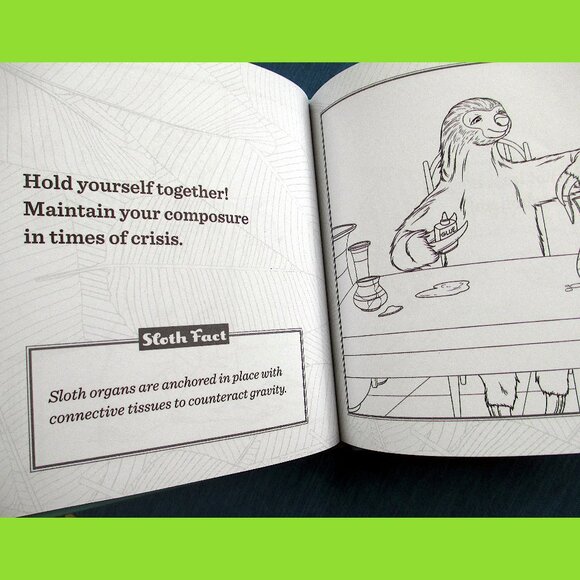 Book: Life Lessons from a Sloth, by Heneghan, Mills, & Sturgeon - Picture 4 of 13